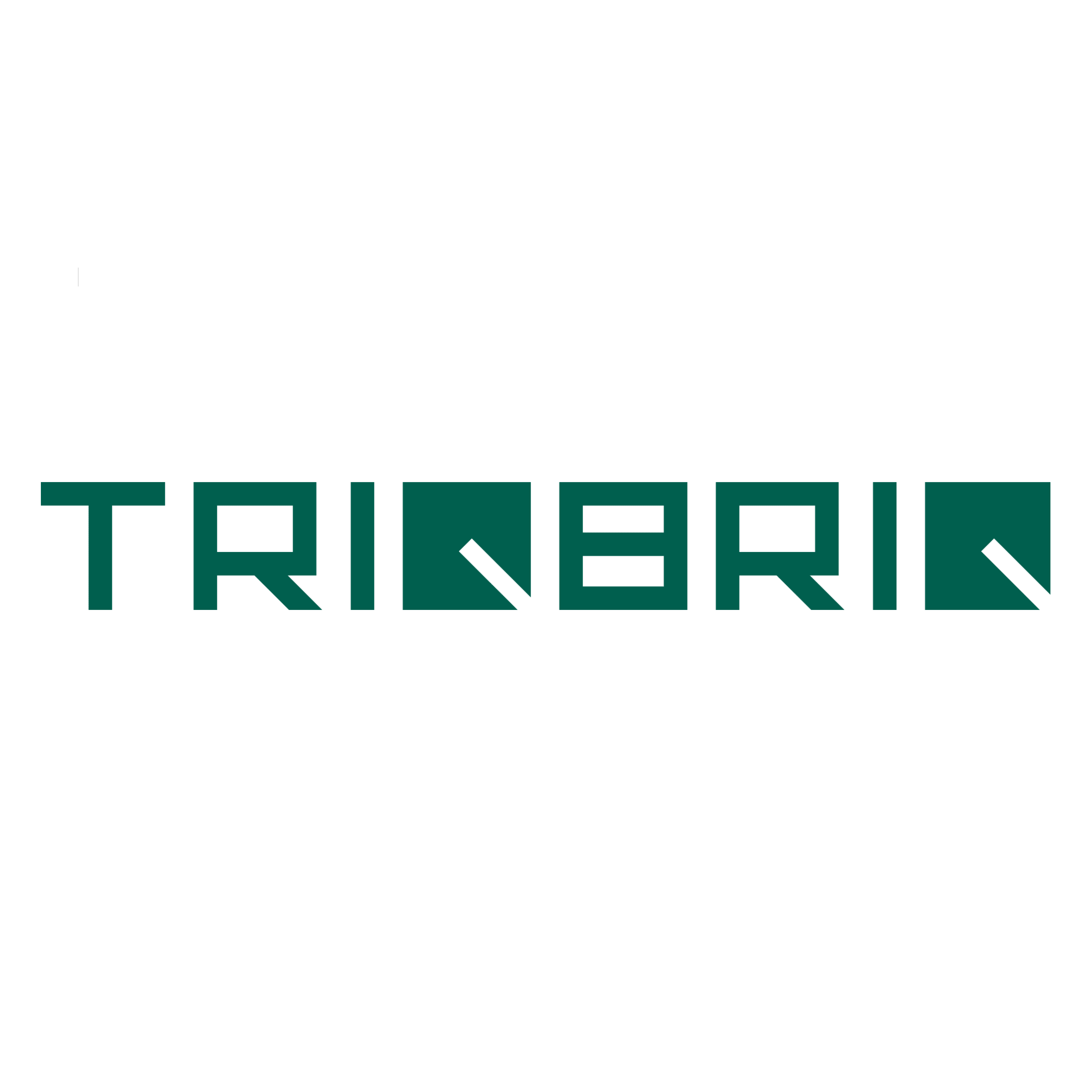 TRIQBRIQ AG  profile picture