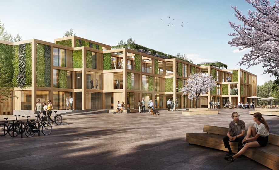 Steinwender Architekten GmbH Banner Image